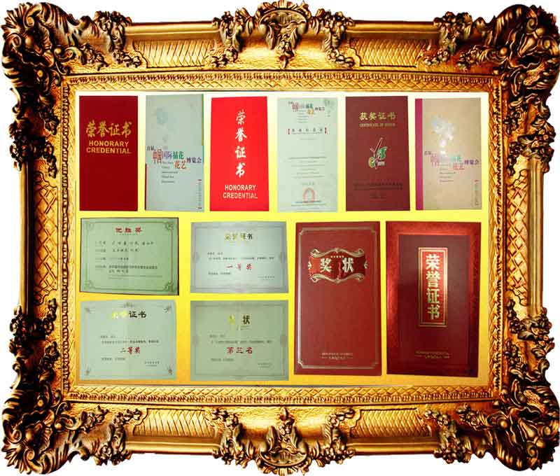 愛丁堡插花培訓(xùn)中心學(xué)校榮譽(yù)