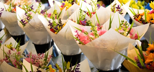 想開(kāi)一家花店卻什么都不會(huì)怎么開(kāi)花店？愛(ài)丁堡為您解答！